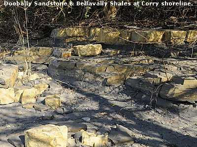 Doobally Sandstone & Bellavally Shales at Corry shoreline.